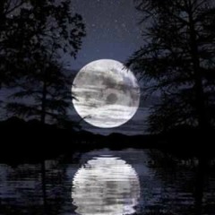 Moonlight Shadow - Mike Oldfield | guitar by Insan Perdana