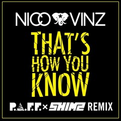 Nico & Vinz - That's How You Know (P.A.F.F. X SHIMZ Remix)