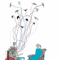 Sinfonetta February 2012