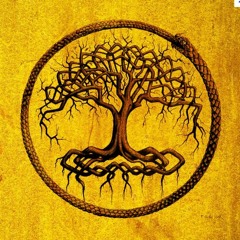 V.I.T.R.I.O.L. "Hermetism"