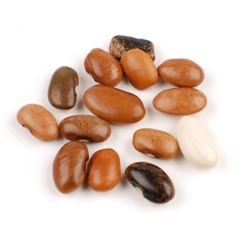 FuckBoyCarl - Oro Jaska Beans (feat. Mc Queen E)