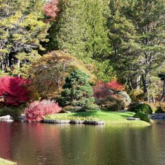 My secret garden (Demo)