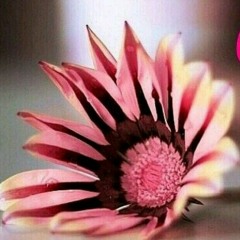 لا تسافر //باسم الكربلائي