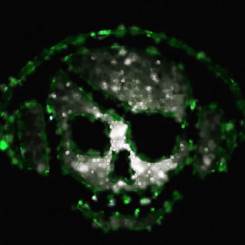 Lectricks - MoreFeed(2010)