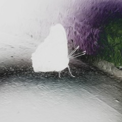 au1dra [not for sale]