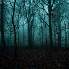 The Haunted Forest
