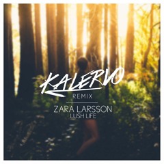 Zara Larsson - Lush Life (KALERVO Remix)