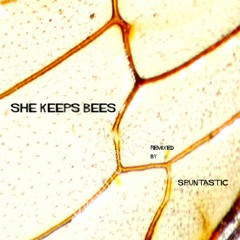 She Keeps Bees - Fangs [Spuntastic Remix]