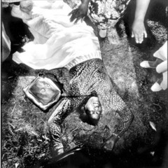 Pete - Peter und der Wolf remix