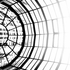 The Sexual Life of Savages (2.0)