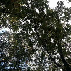 The future is up to you