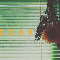 Soak