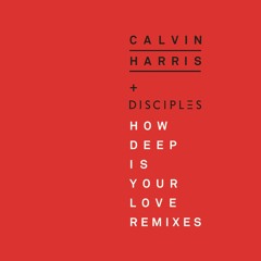 Calvin Harris & Disciples - HDIYL (Sammy Porter Chilled Remix)