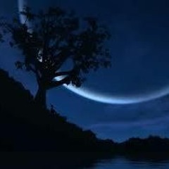 Dark Melancholy