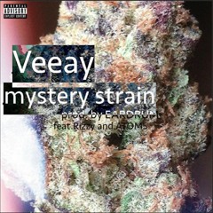 Mystery Strain Ft. TJ Atoms & Rizzy (Prod. by EARDRUM)