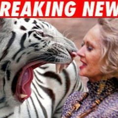 Catatattack!!!   (On "Buddz Riddim" by 'HighSmile Hifi')