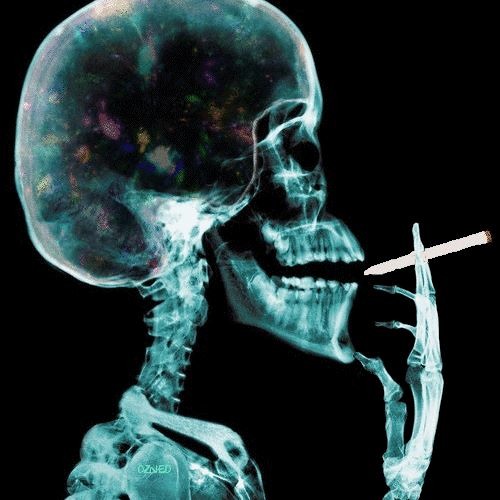 New playlist ?