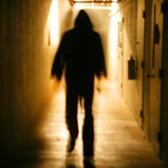 I Told You Not To Go In There