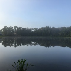 7 AM At Sam Smith Pond