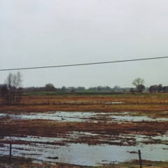 Ein Bach am Stadtrand 2015