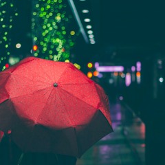 Don't Say I Didn't Warn You (Reprise)