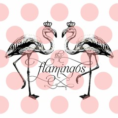 Magnezik #7 - Cool in the pool