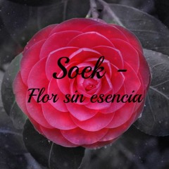 Soek - Flor sin esencia