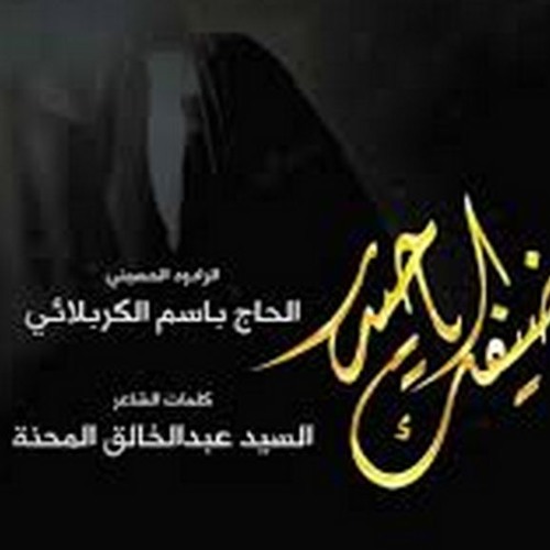 ضيفك ياحيدر | باسم الكربلائي