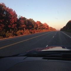 Wilderness of Mischief