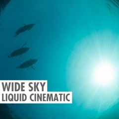 Precision (Wide Sky)