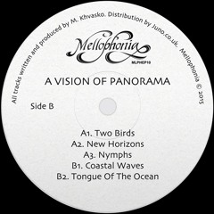 A Vision of Panorama - Two Birds (STW Premiere)