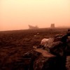 Rampue - Live At Robot Heart - Burning Man 2015 DJ mix artwork - Electronic music tracklist cover image