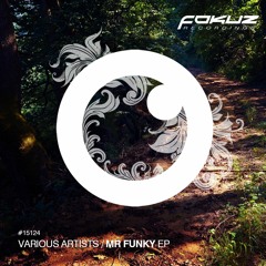 FOKUZ15124 / VA - Mr. Funky EP