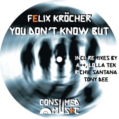 Felix Krocher - You Dont Know But (A++ & Lolla Tek Remix) - CSMD054