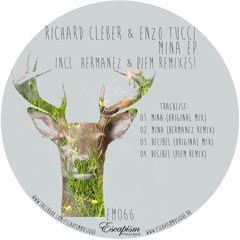04. Enzo Tucci, Richard Cleber - Decibel (Piem Remix)
