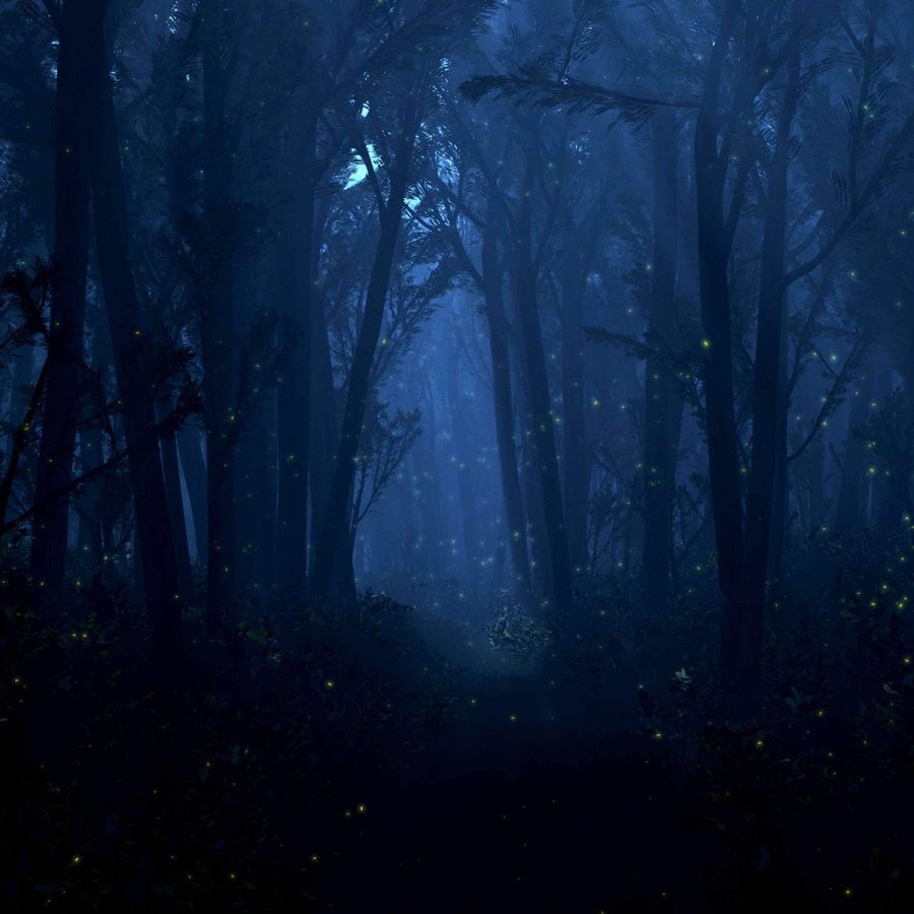 -::_Dark.::.Forest.::.Psytrance.::.Mix_.::-(Kill Ya Face) episode artwork