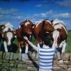 Oxford Comma (cover)