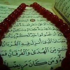 صوت مشاري العفاسي