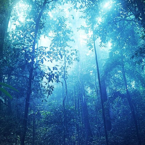Wonder4(Royalty Free Music)