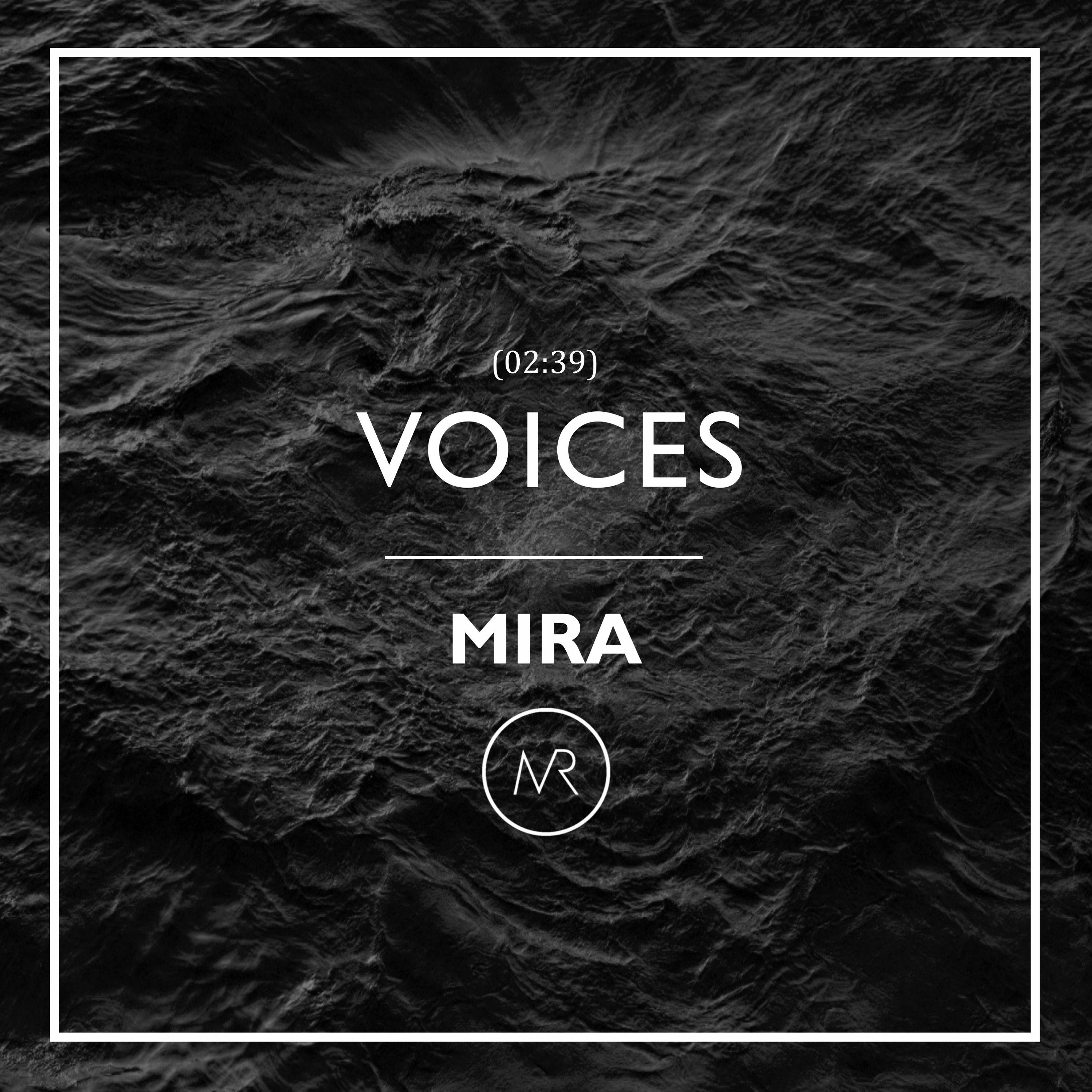 Voices episode artwork