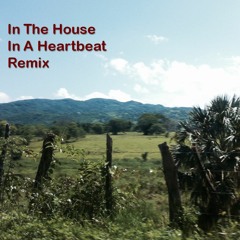 In the house in a heartbeat rmx