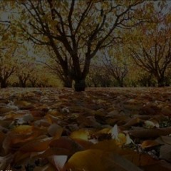 βαγγΟςP.-October