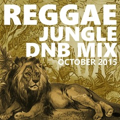 Reggae Jungle DnB Mix - Spincore & MC Rootsman I 2015