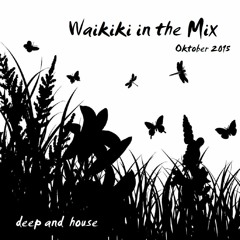 Waikiki in the Mix - Oktober 2015