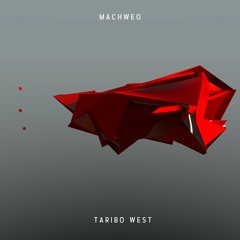 Taribo West