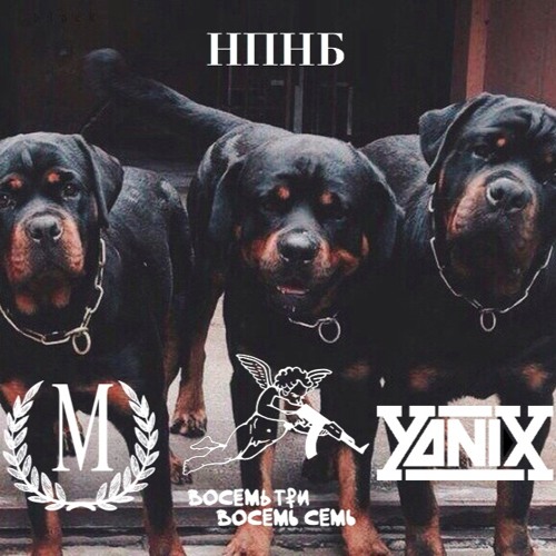 МЕЗЗА АРОНОВСКИЙ X YANIX - НПНБ