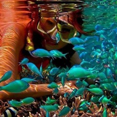 OCEANO PROFUNDO