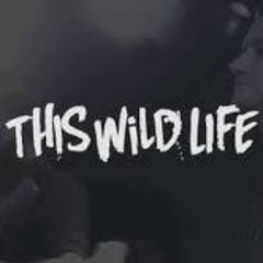 Bring Me The Horizon - Sleepwalking (Acoustic) - This Wild Life