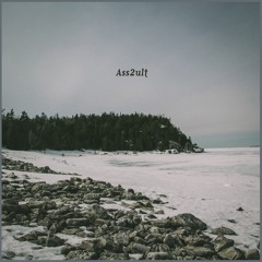 Ass2ult prod. E