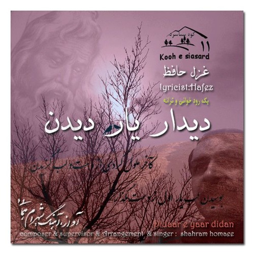 Didaar e yaar didan   دیدار یار دیدن